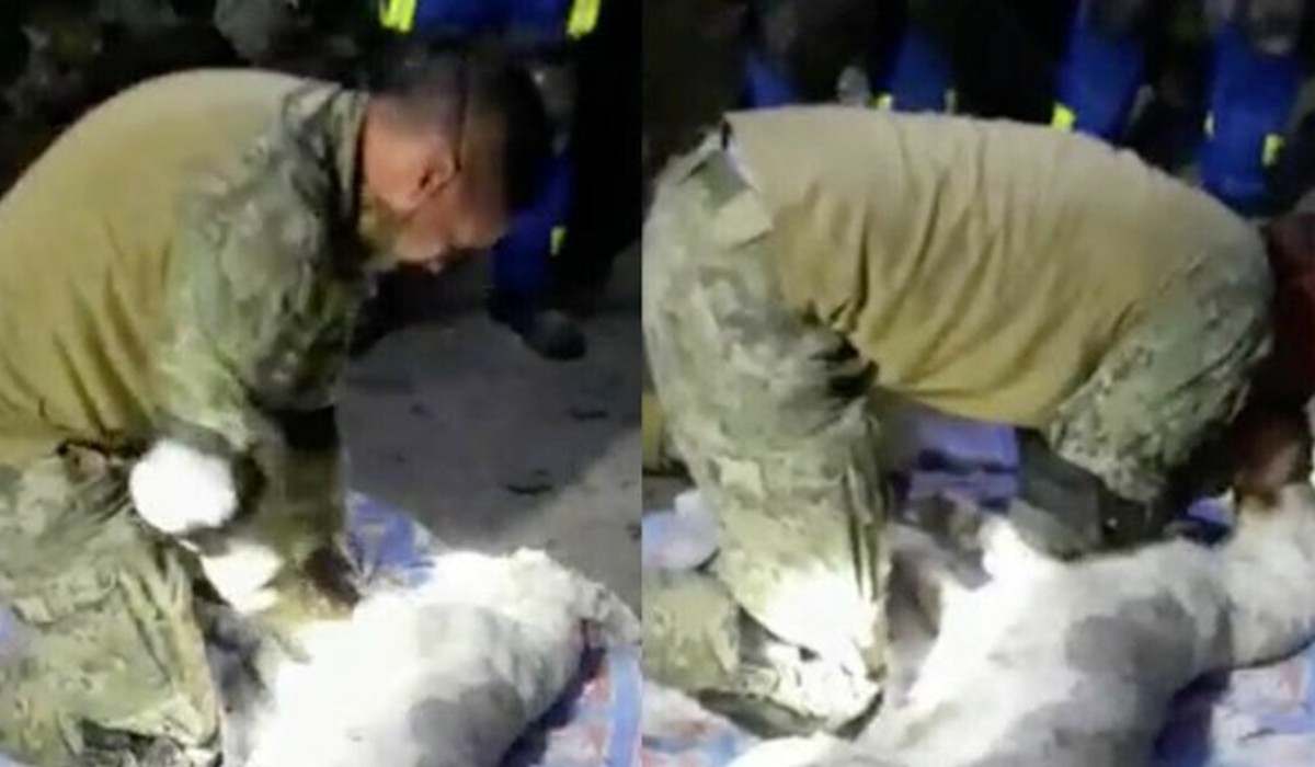 Elemento de la Marina hace todo por salvar la vida de un canino tras derrumbe del cerro Chiquihuite